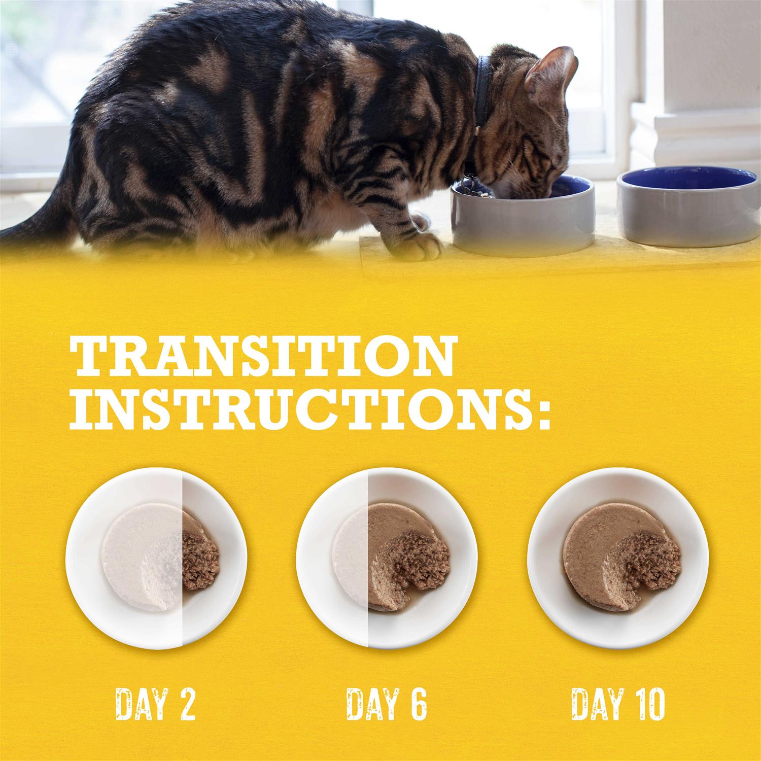 Grain-Free Wet Cat Food F706