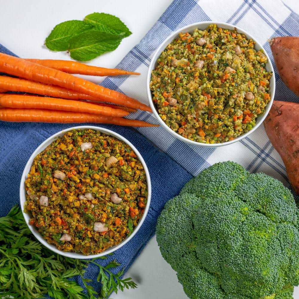 Allergy Relief Salmon Recipe Dog Food for Sensitive Dogs M3926