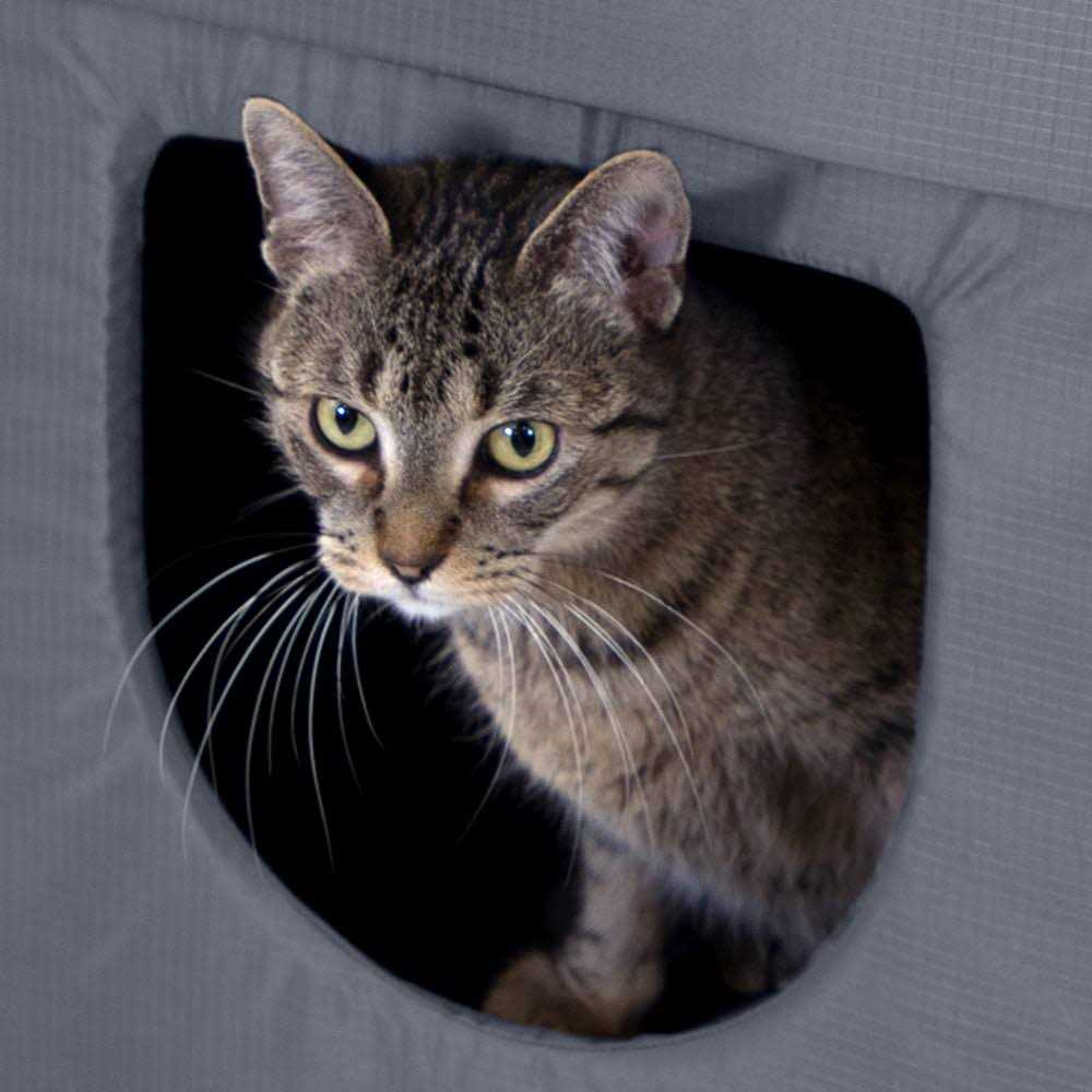Outdoor Cat House N411