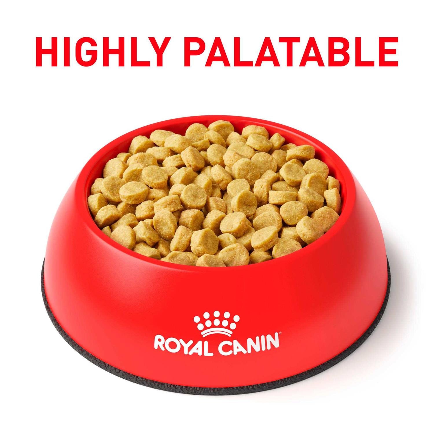 Hydrolyzed Protein Dry Dog Food U1636