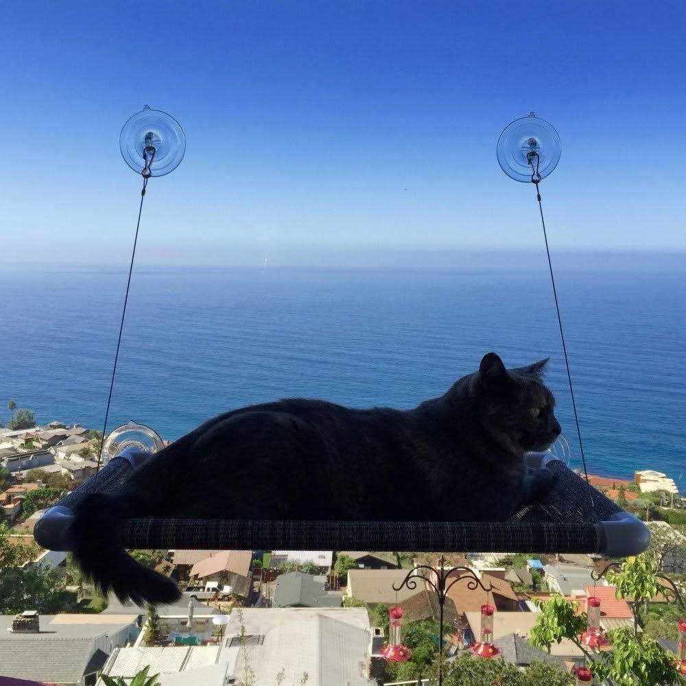 Cat Perch for Window M212