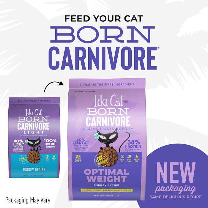Turkey Light Dry Cat Food P4573