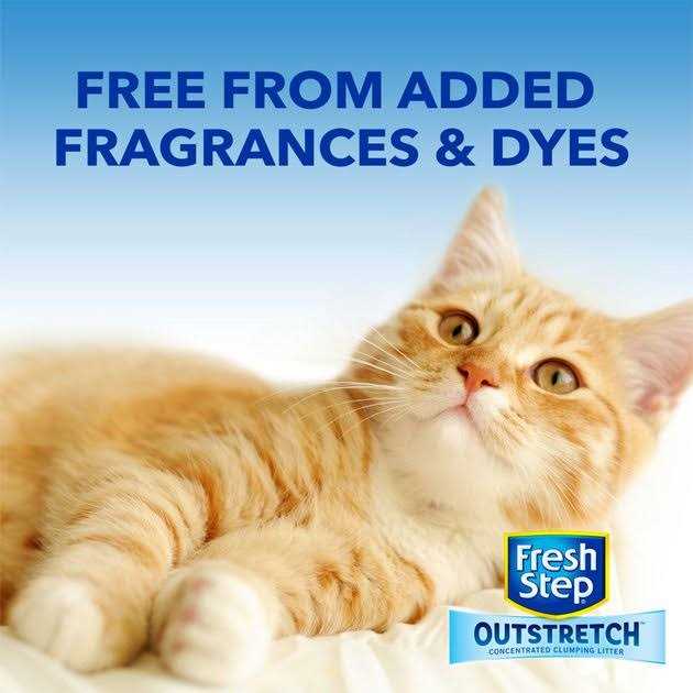 Unscented Clumping Cat Litter V466