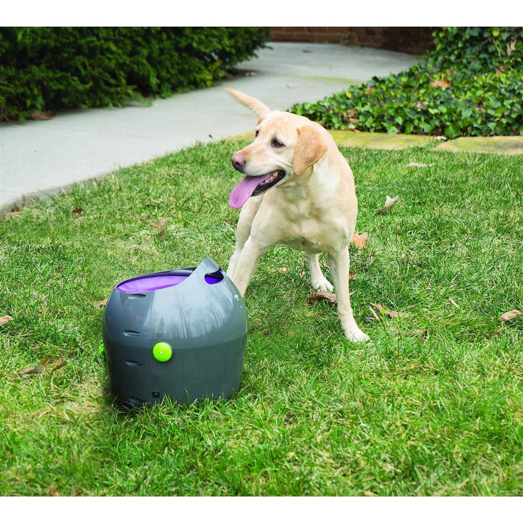 Automatic Ball Launcher Dog Toy F92554