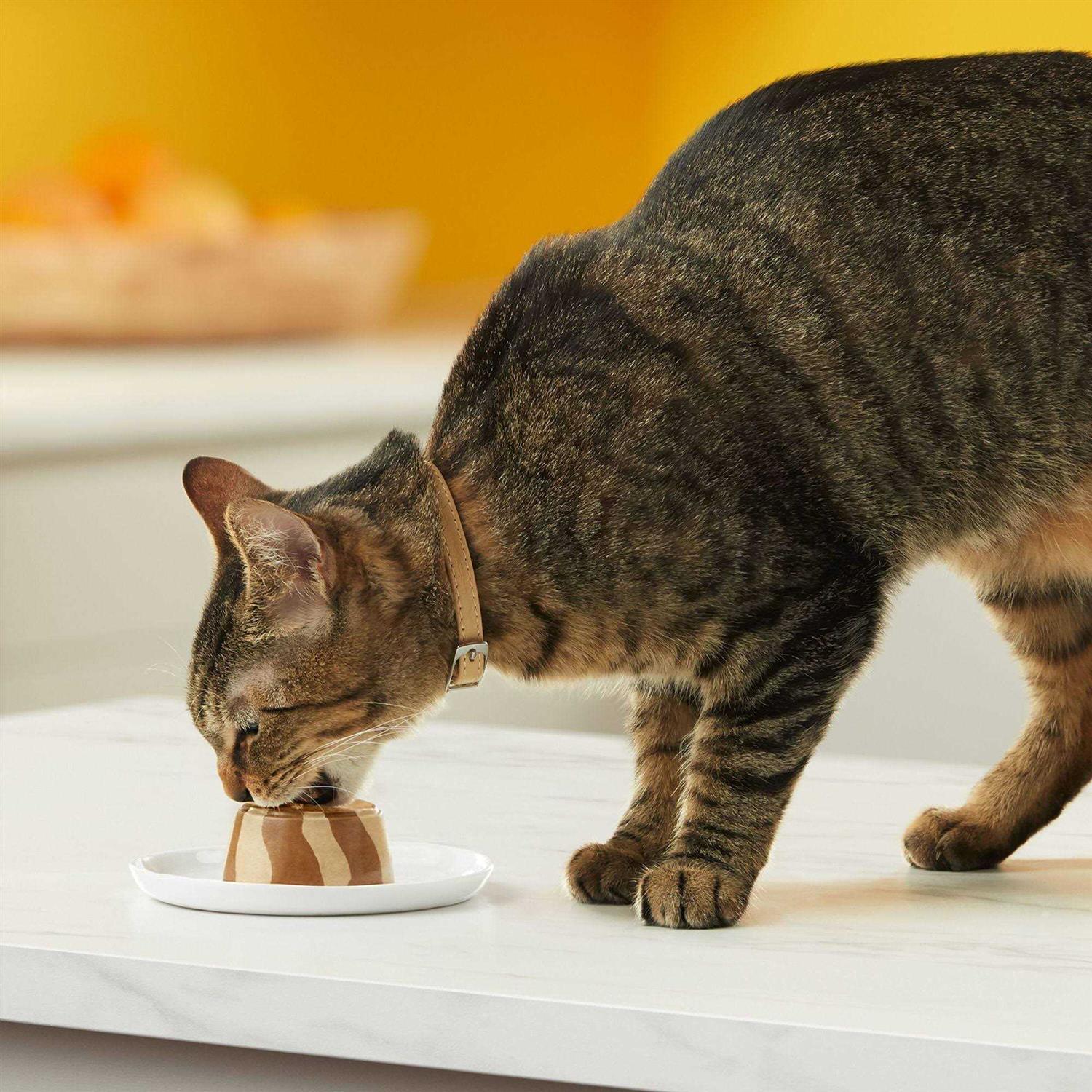 Tasty Layers Cat Food B36047