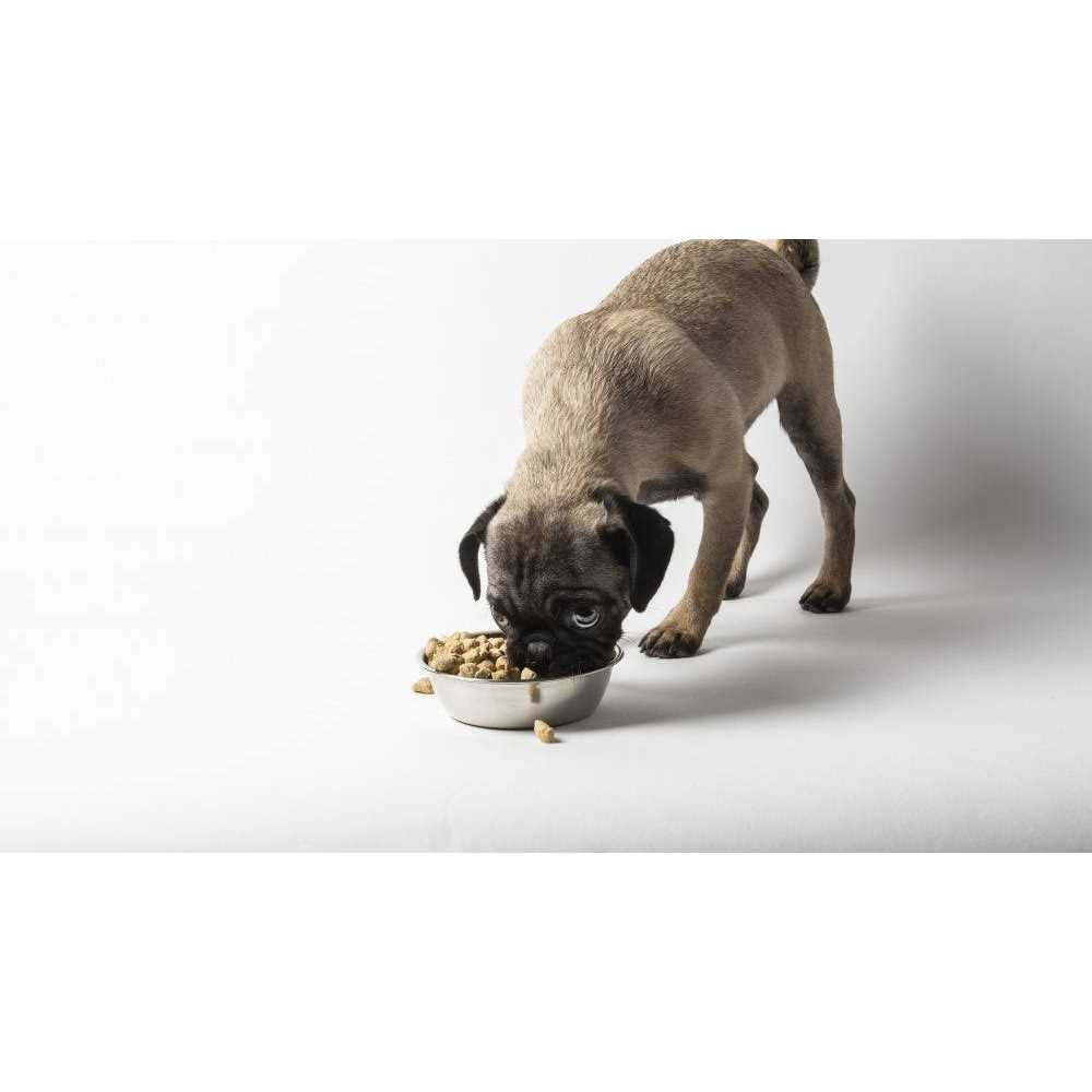 Freeze Dried Raw Small Breed Dog Food V4582