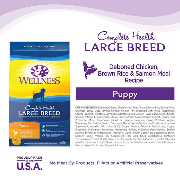 Large Breed Puppy Dry Dog Food H99013