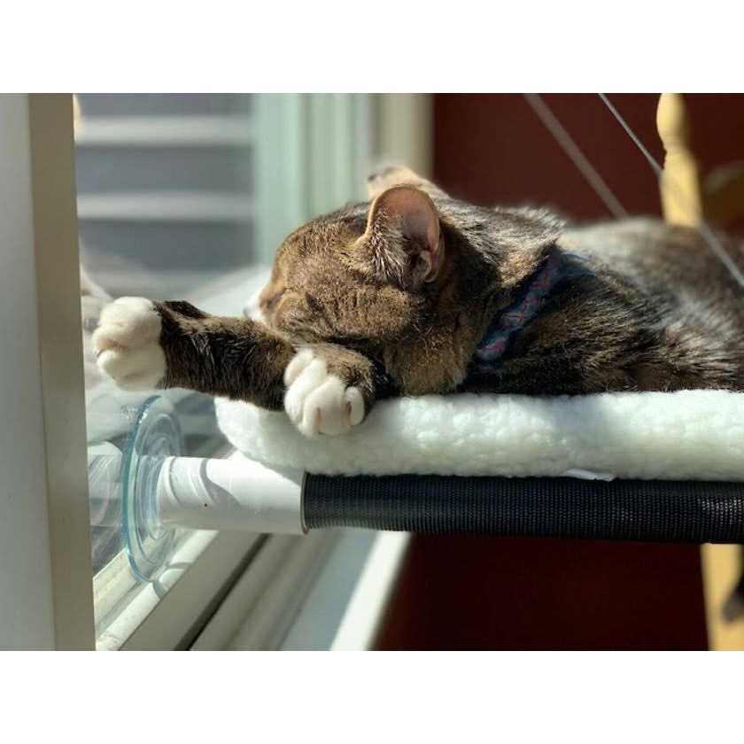 Cat Perch for Window M212