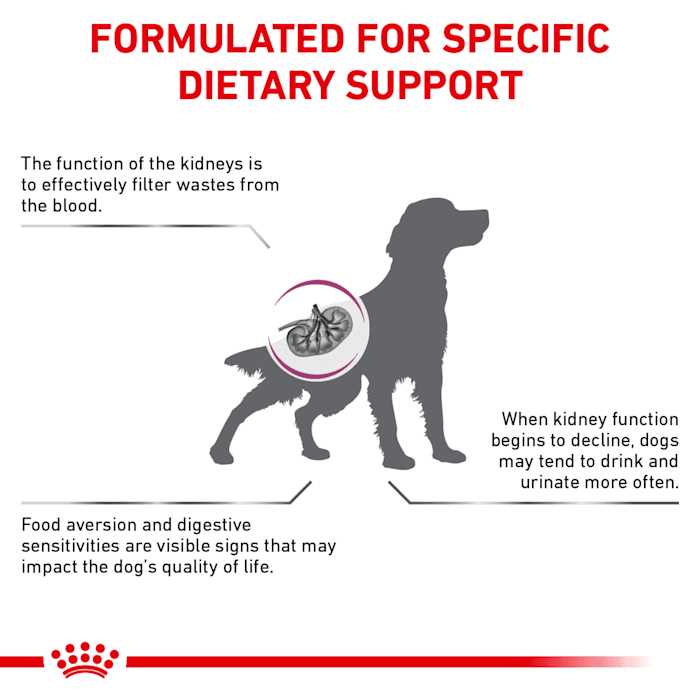 Renal Support Dry Dog Food Y94545