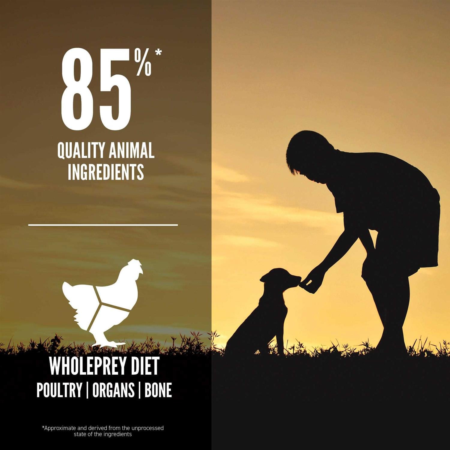 Large Breed Puppy Dry Dog Food X8323