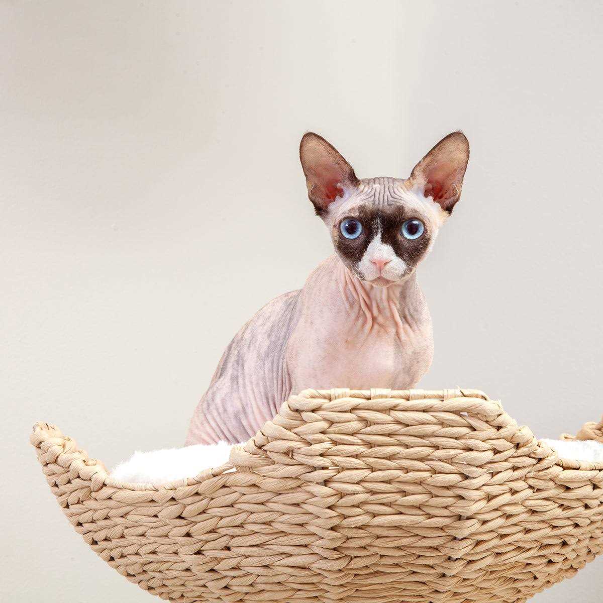 Modern Cat Tree Elevated Tower G298