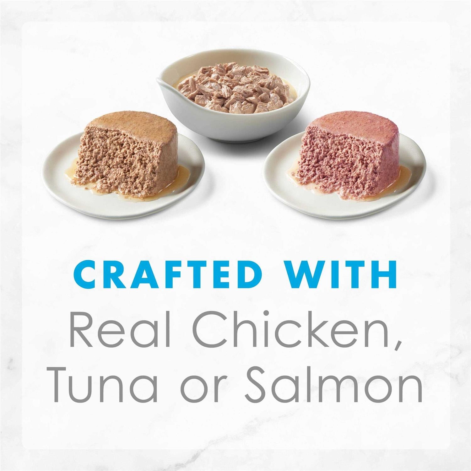 Wet Cat Food R9194