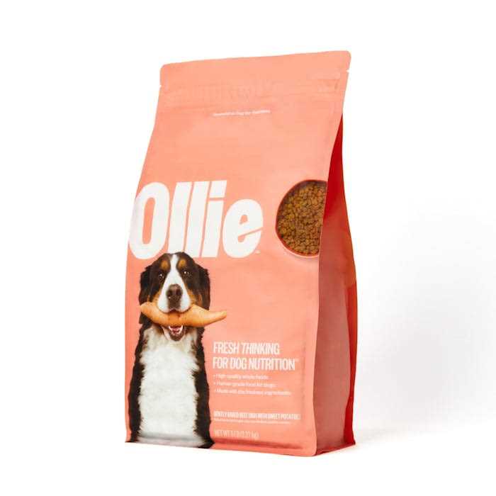 Baked Beef Dish with Sweet Potatoes Dry Dog Food E458856