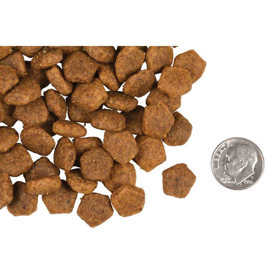 Adult Dog Food A65480