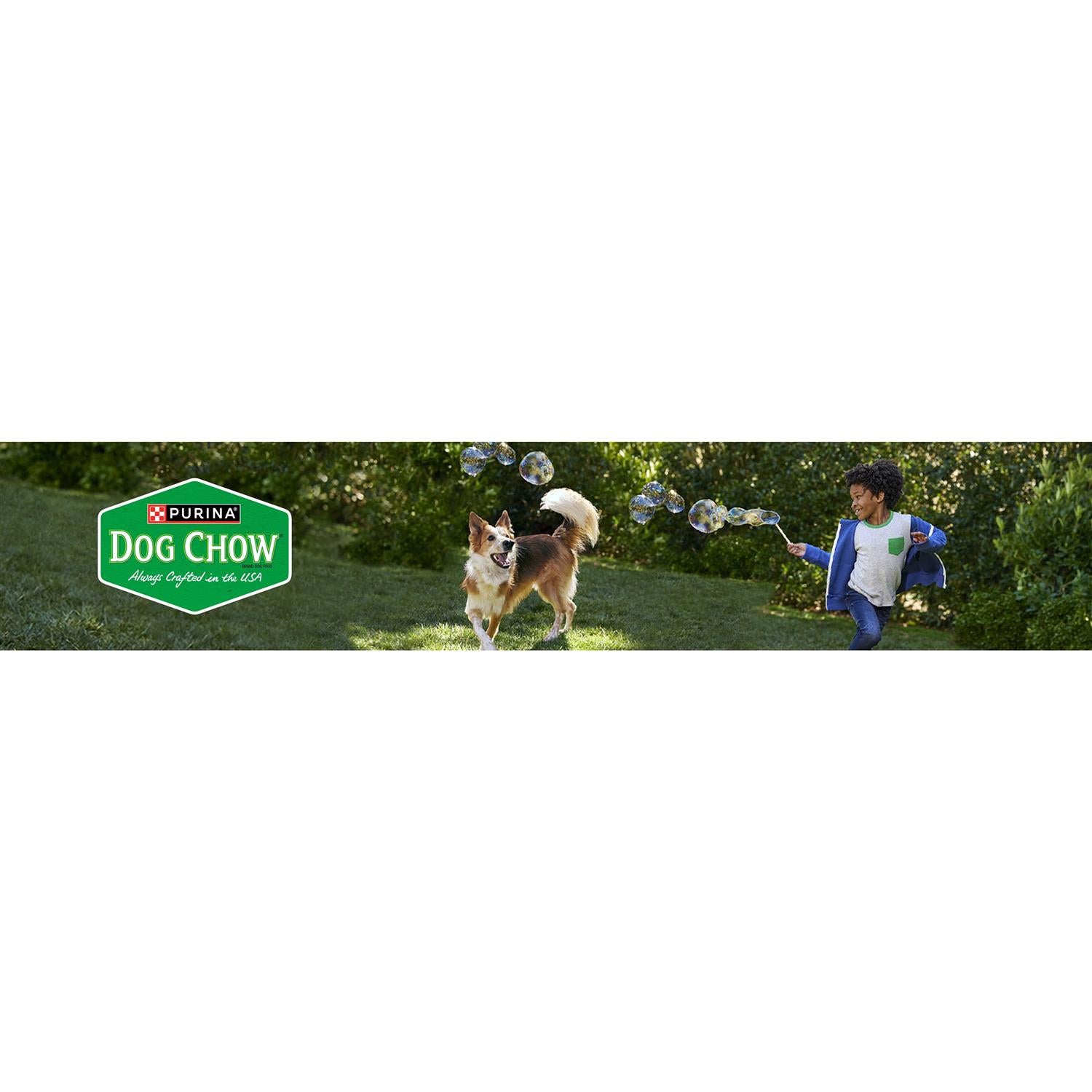 Chicken Adult Complete Dry Dog Food D422964