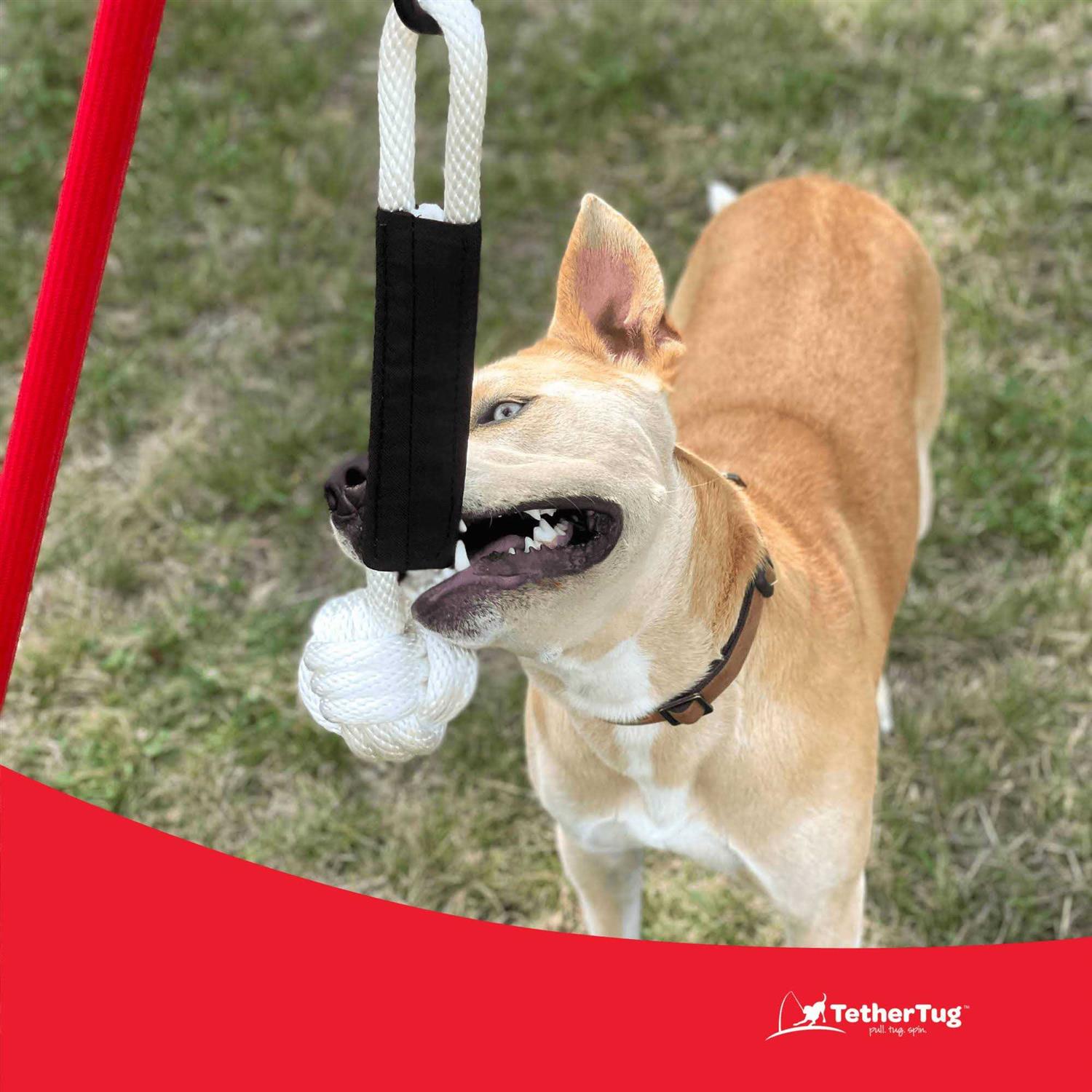 Dog Toy U92297