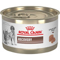 Royal Canin Veterinary Diet Recovery Ultra Soft Mousse in Sauce Wet Dog &amp; Cat Food - Pet Supplies online store