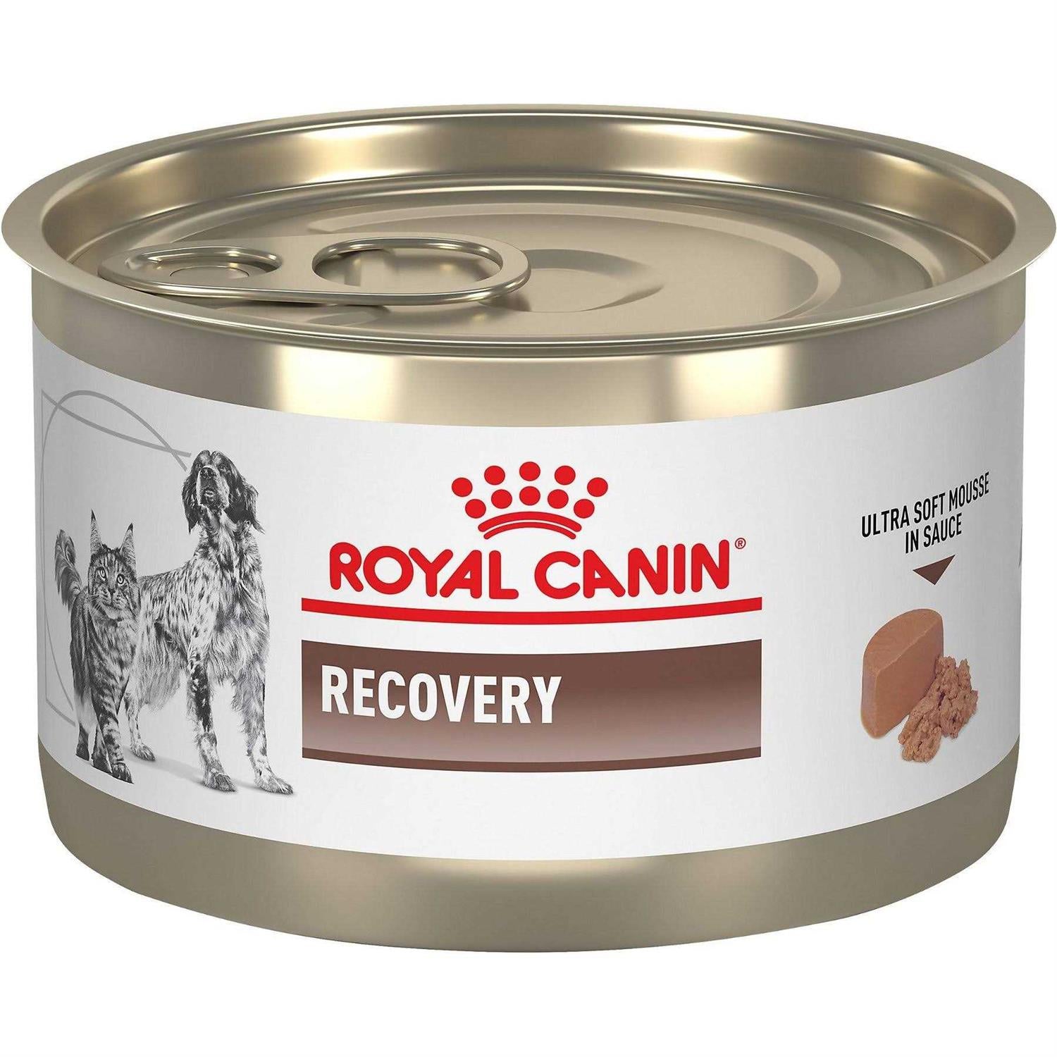 Royal Canin Veterinary Diet Recovery Ultra Soft Mousse in Sauce Wet Dog &amp; Cat Food - Pet Supplies online store