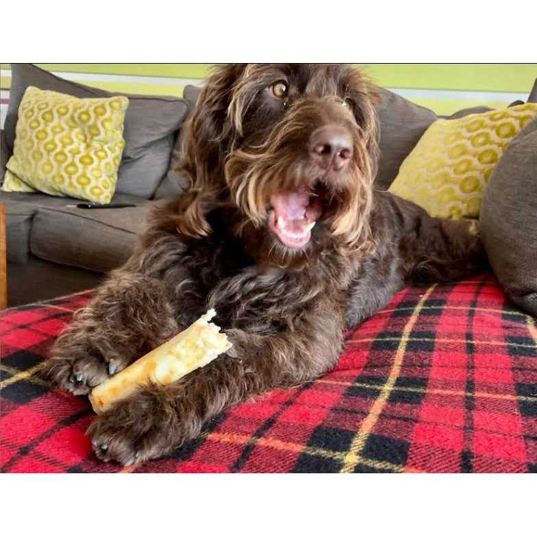 No Hide Strips for Pets R245546