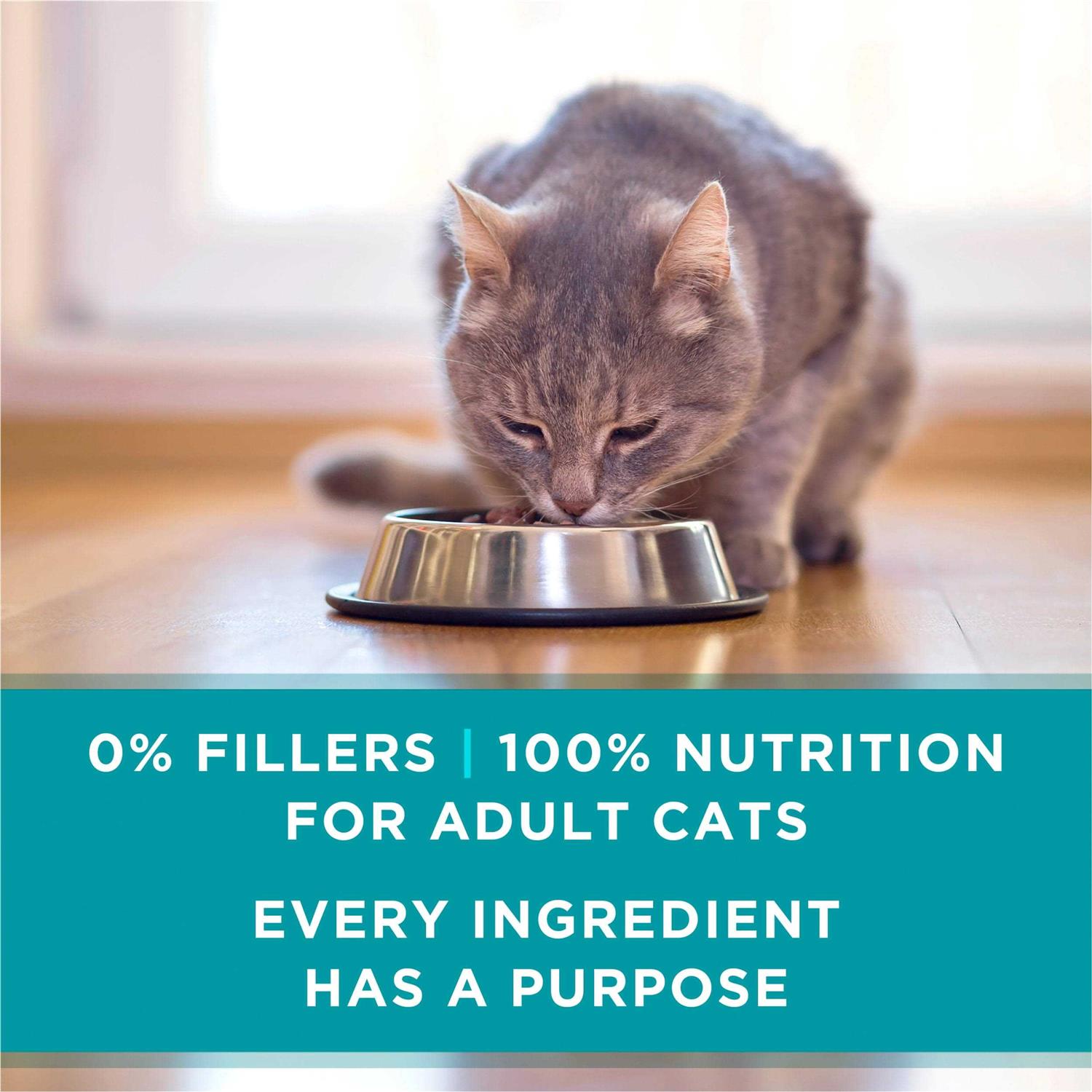 Urinary Tract Health Pate Wet Cat Food D58101