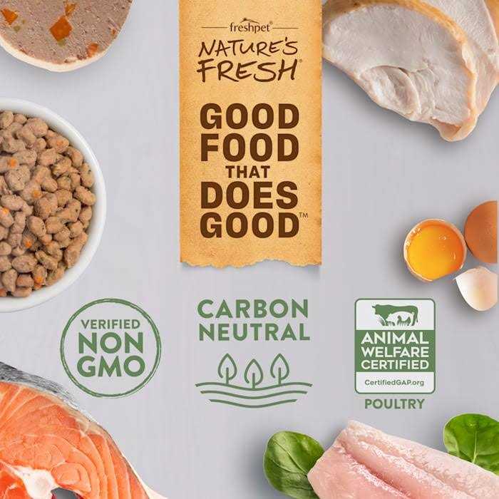 Grain Free Chicken Recipe Dog Food Y51614