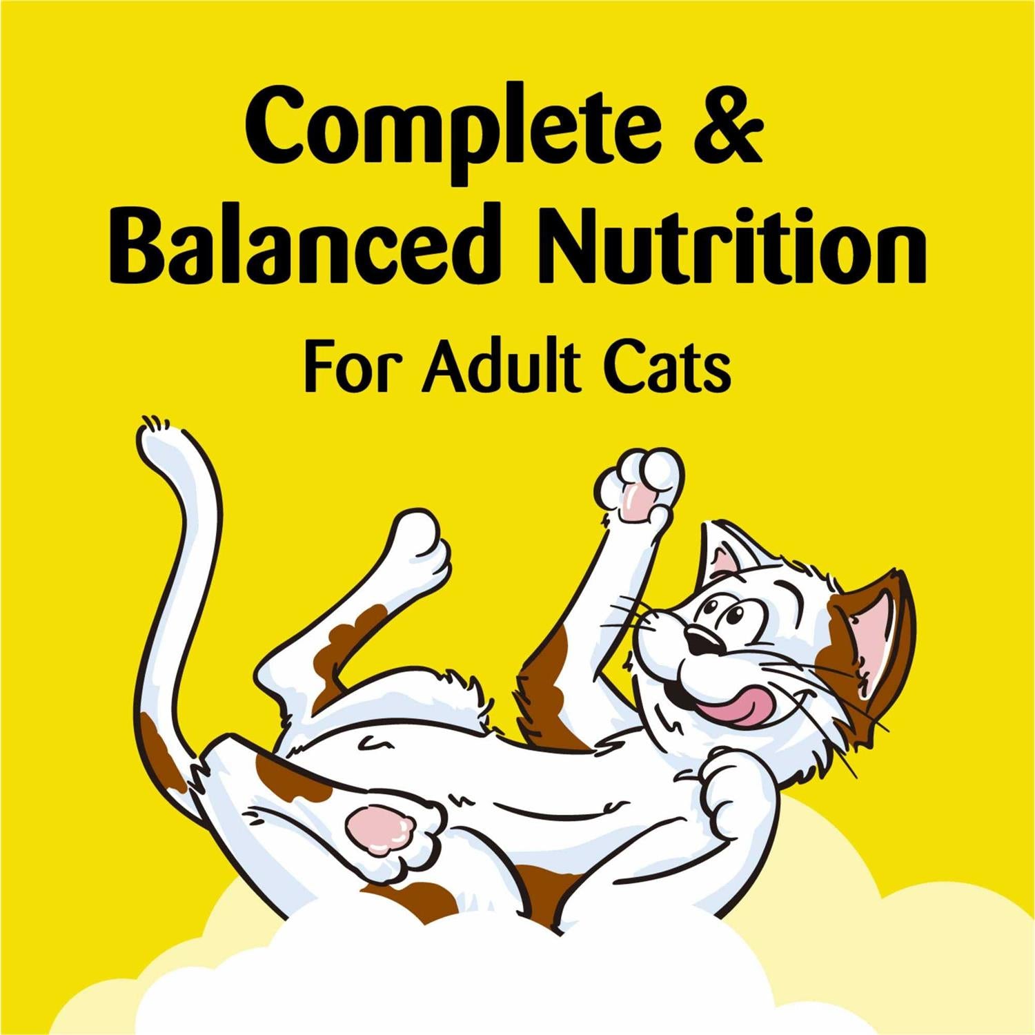 Crunchy Cat Treats X9804
