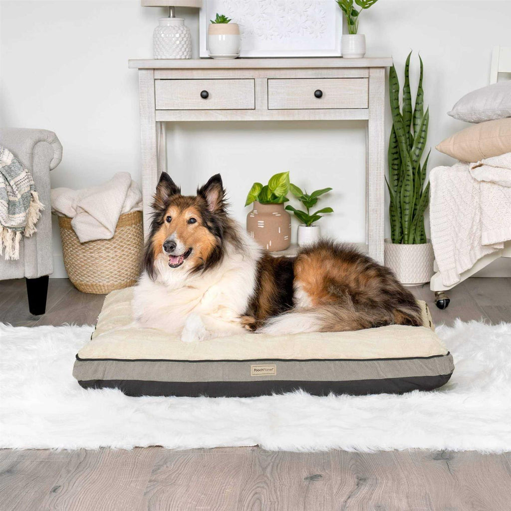 Large Memory Foam Dog Bed with Removable Washable Cover R15907