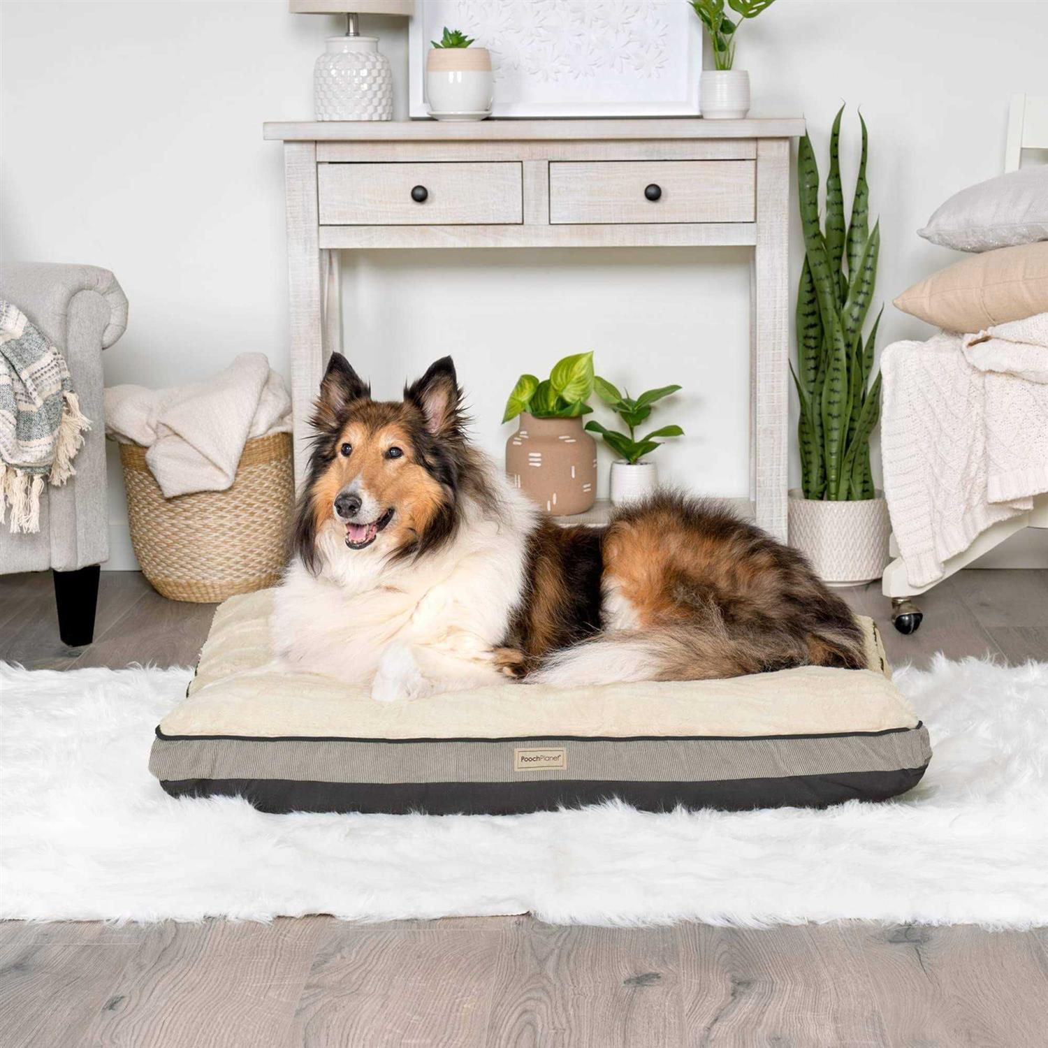 Large Memory Foam Dog Bed with Removable Washable Cover R15907