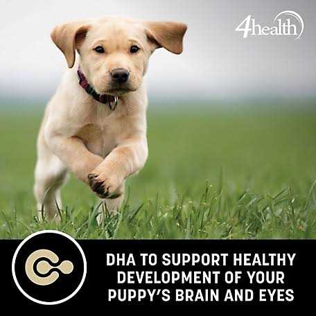 Grain Free Puppy Dog Food A286529