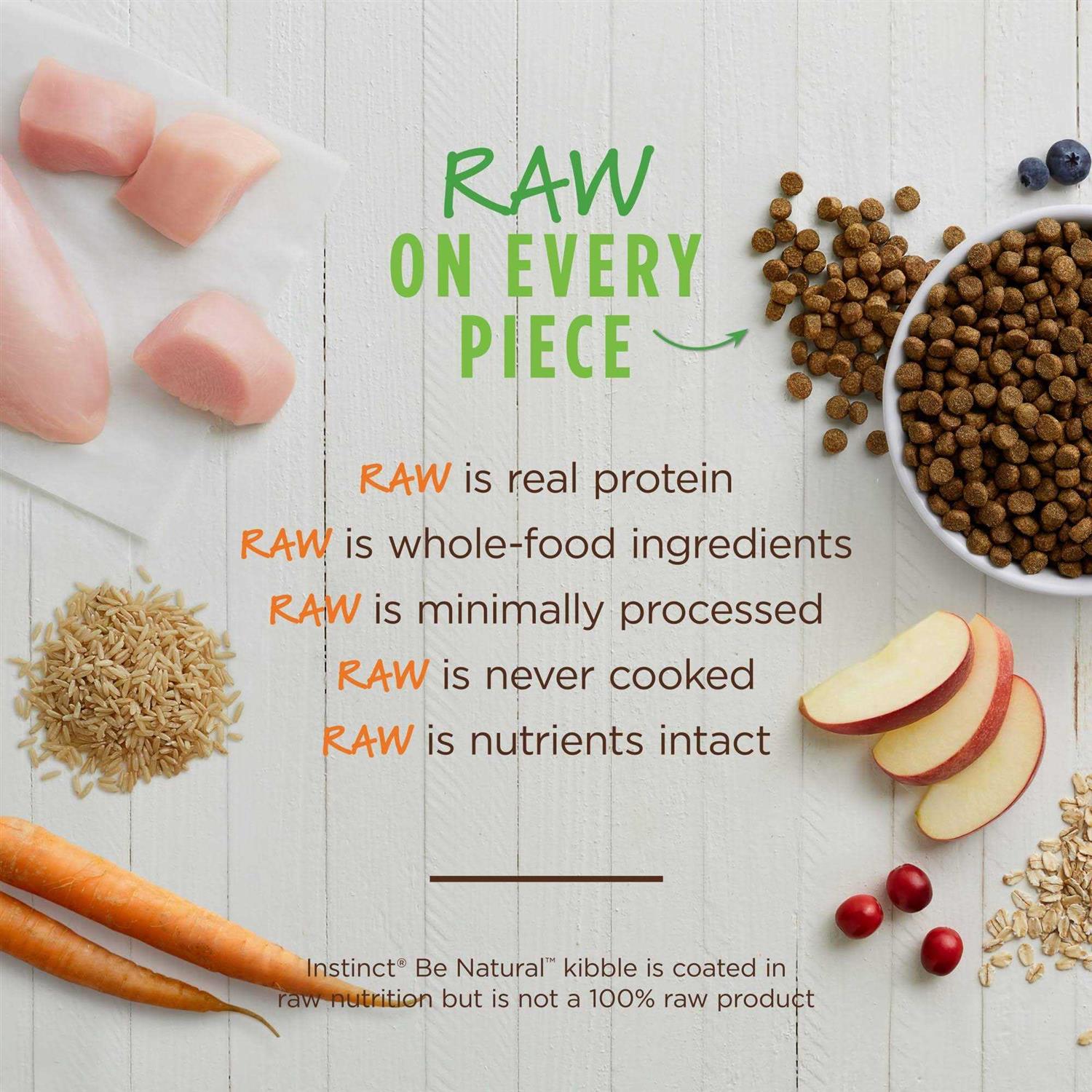 Chicken & Brown Rice Recipe Dry Dog Food P2023