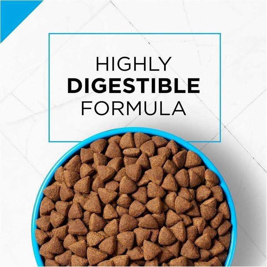 Sensitive Skin & Stomach Salmon & Rice Dry Dog Food U31374