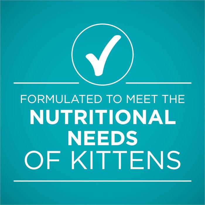Kitten Grain Free Chicken & Salmon Pate Wet Cat Food J2238