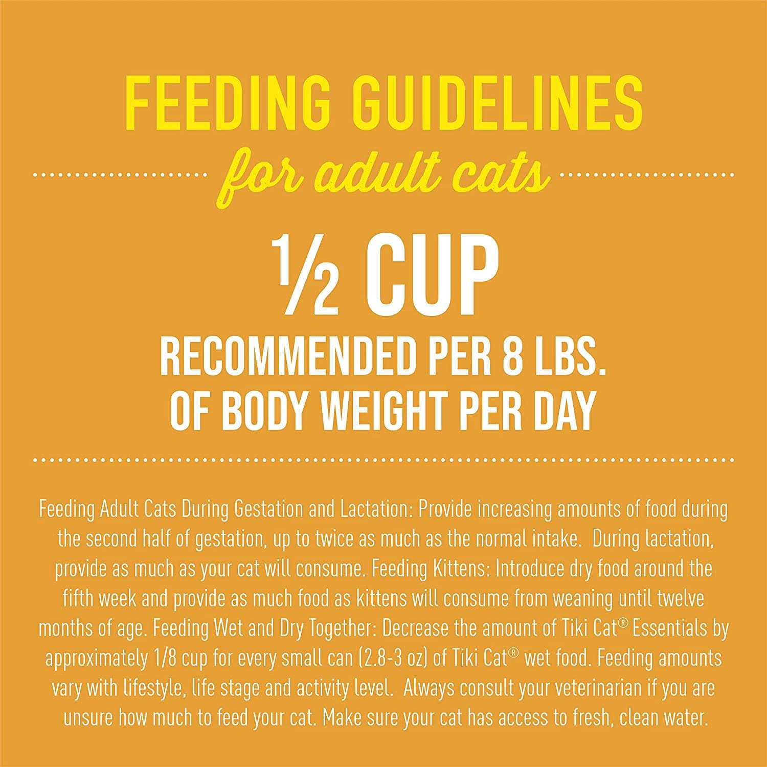 Chicken & Turkey Recipe Dry Cat Food Z5463
