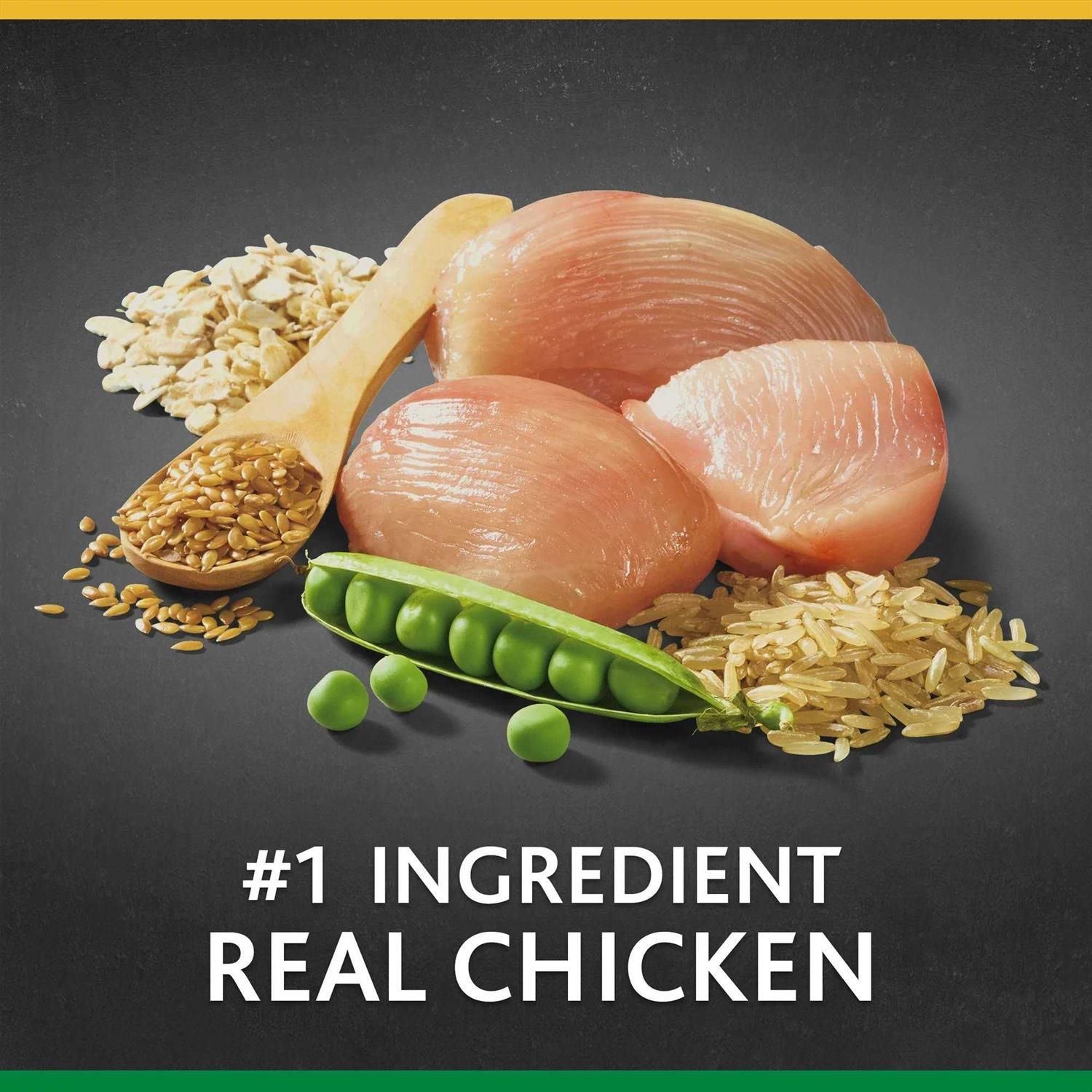 Large Breed Chicken & Brown Rice Dry Dog Food K92940