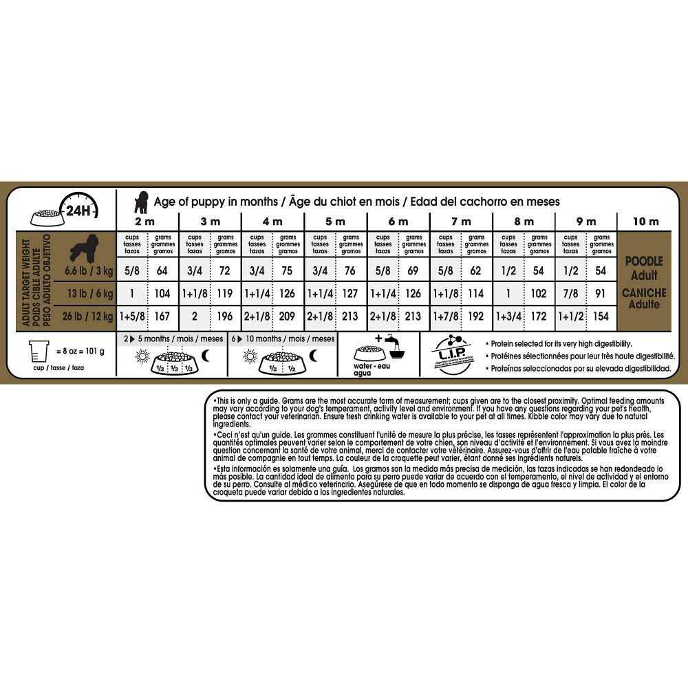 Poodle Puppy Dry Dog Food C496057