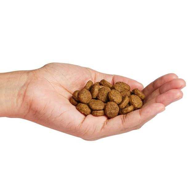 Sensitive Skin & Stomach Large Breed Salmon Dry Dog Food C2901