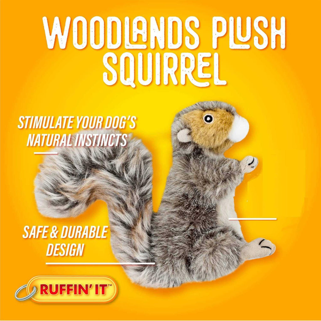 Squirrel Plush Dog Toy Z4352