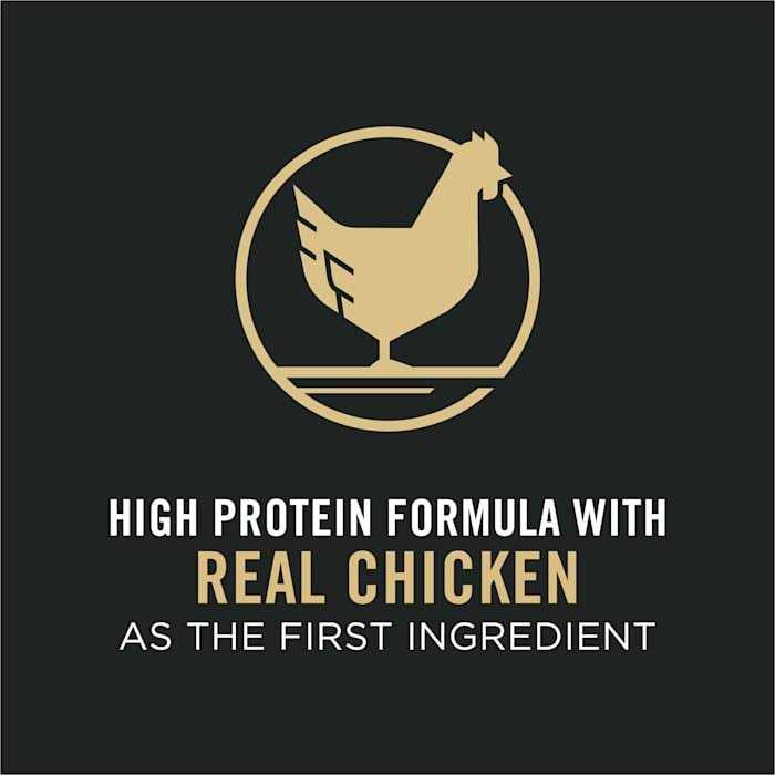 Senior Dry Cat Food with Chicken and Rice Probiotics B16555