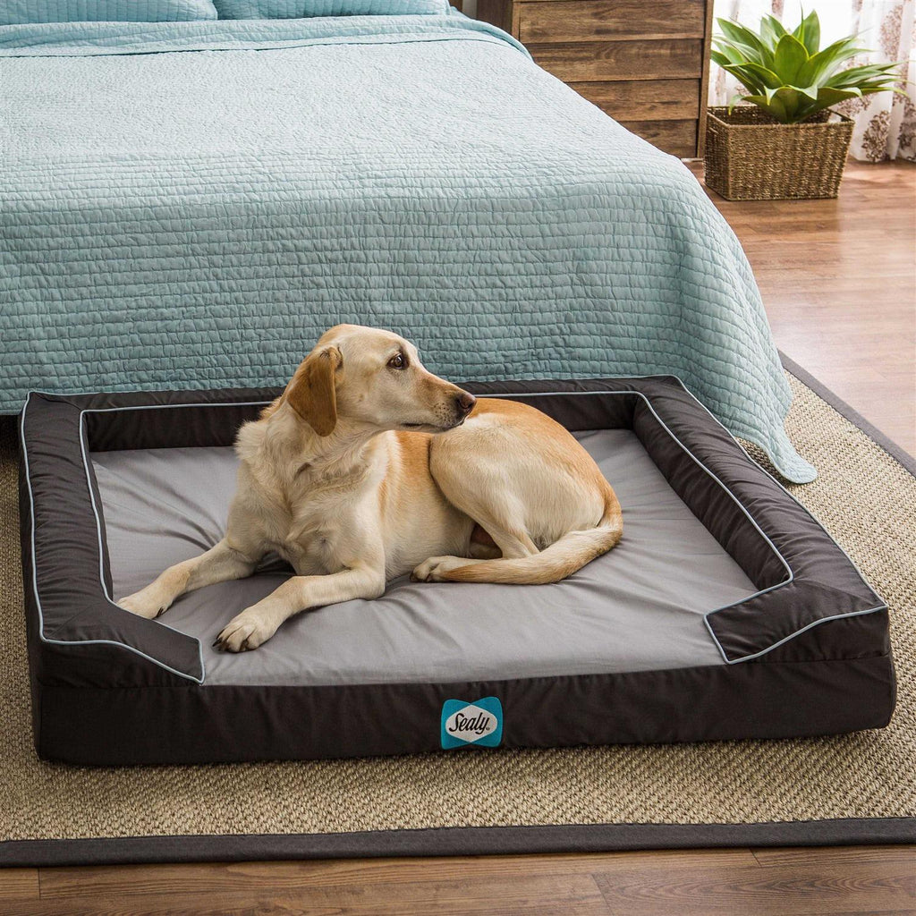 Orthopedic Memory Foam Dog Bed C1966