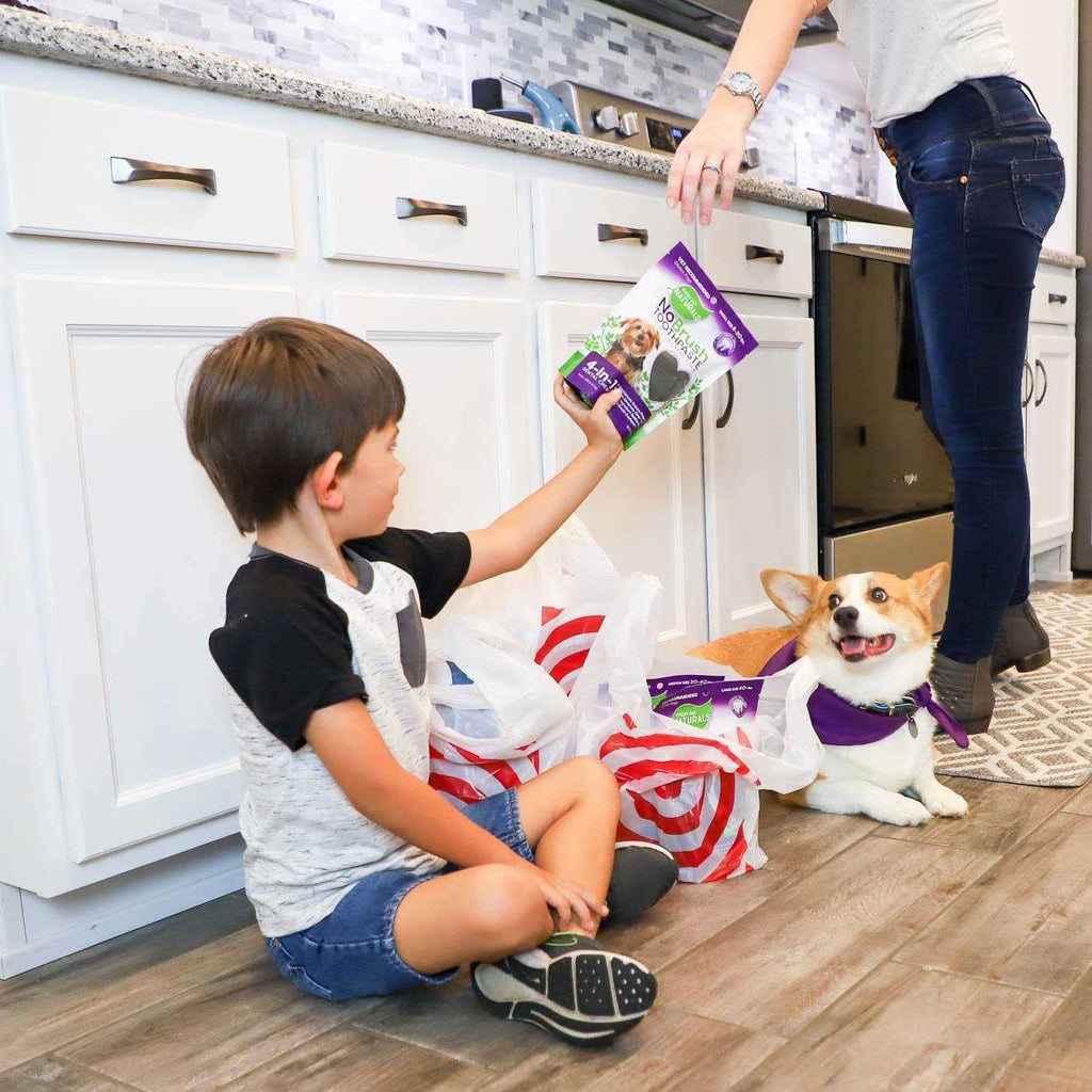 Dental Chew Toothpaste for Pets K14414