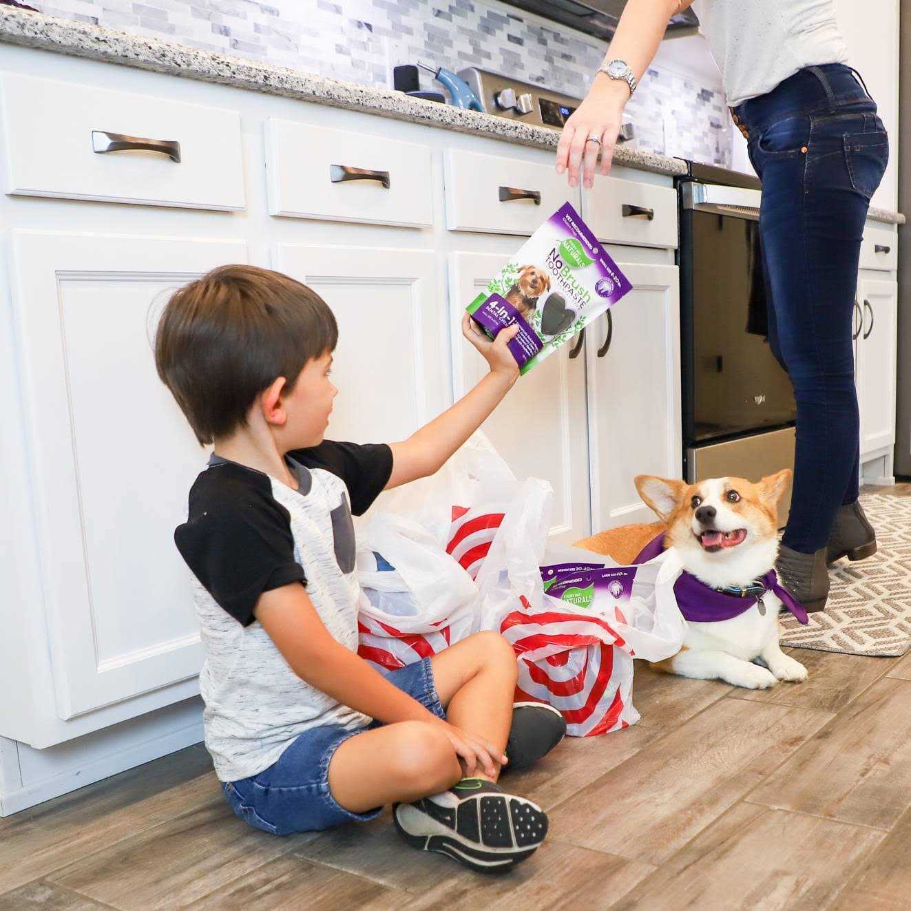 Dental Chew Toothpaste for Pets K14414