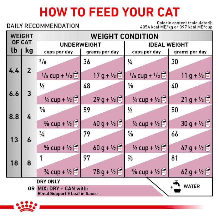 Adult Dry Cat Food for Renal Support D54465