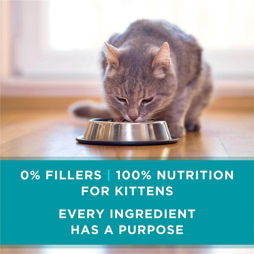 Kitten Grain Free Chicken & Salmon Pate Wet Cat Food J2238
