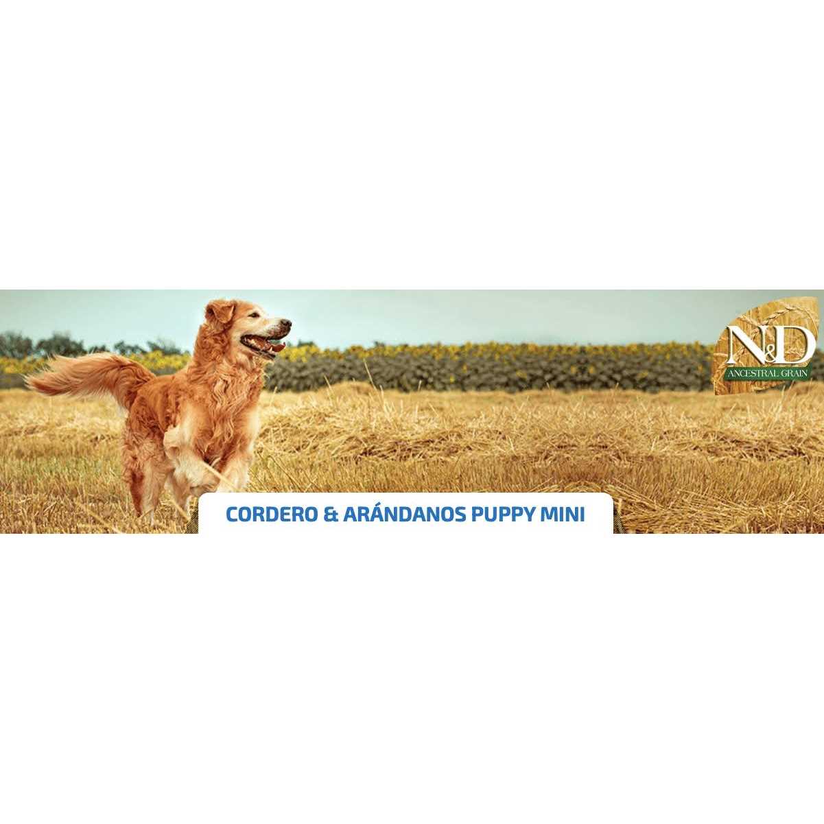 Chicken & Pomegranate Dry Dog Food V5712