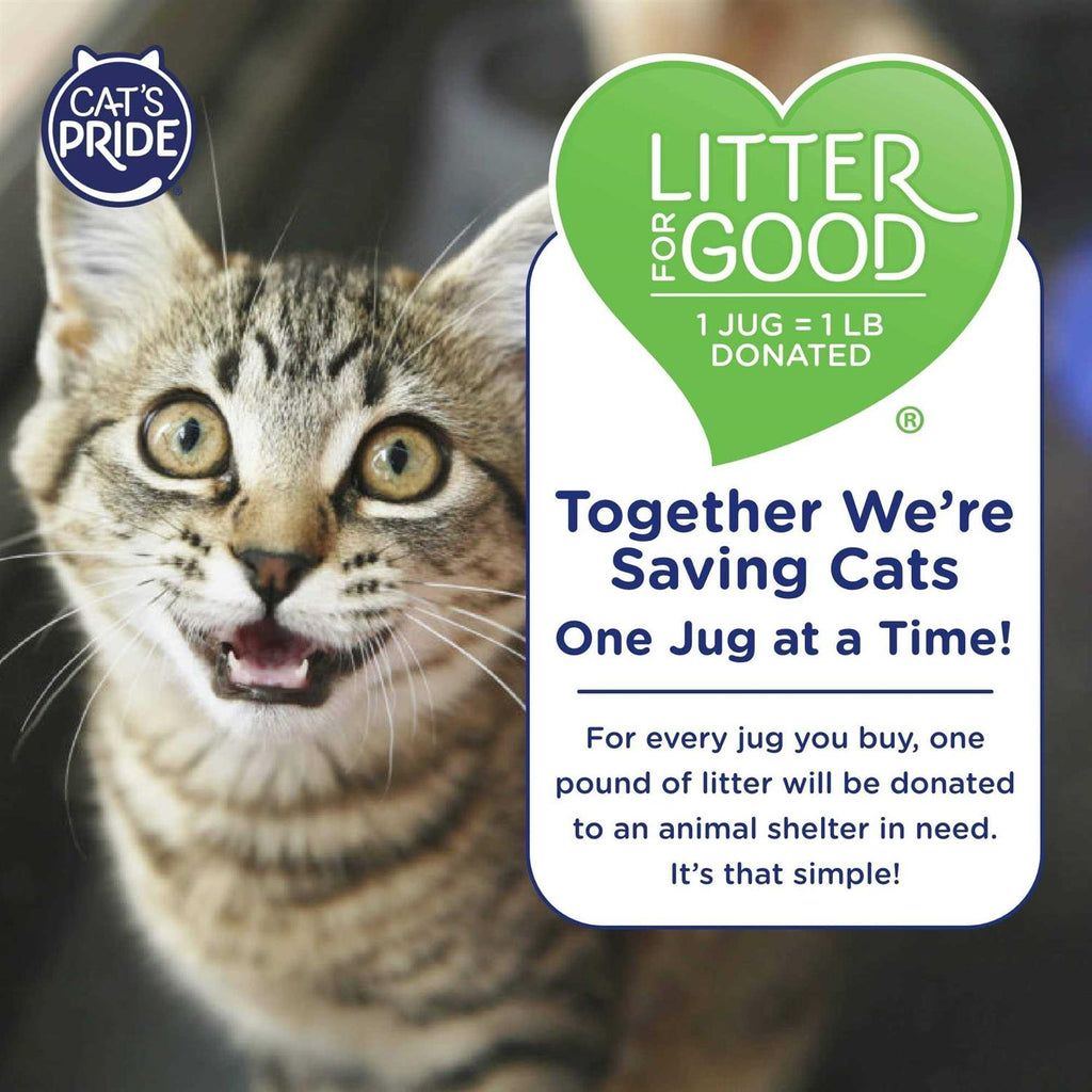 Multi-Cat Clumping Litter L586