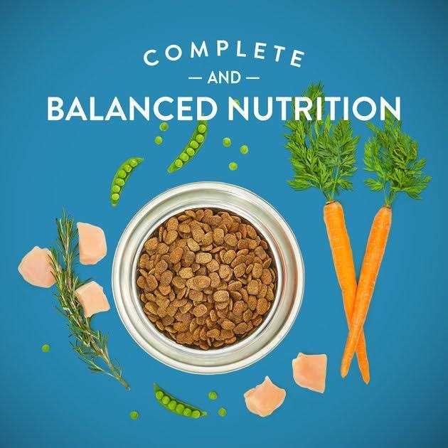 Grain-Free Chicken & Vegetable Dry Dog Food D617