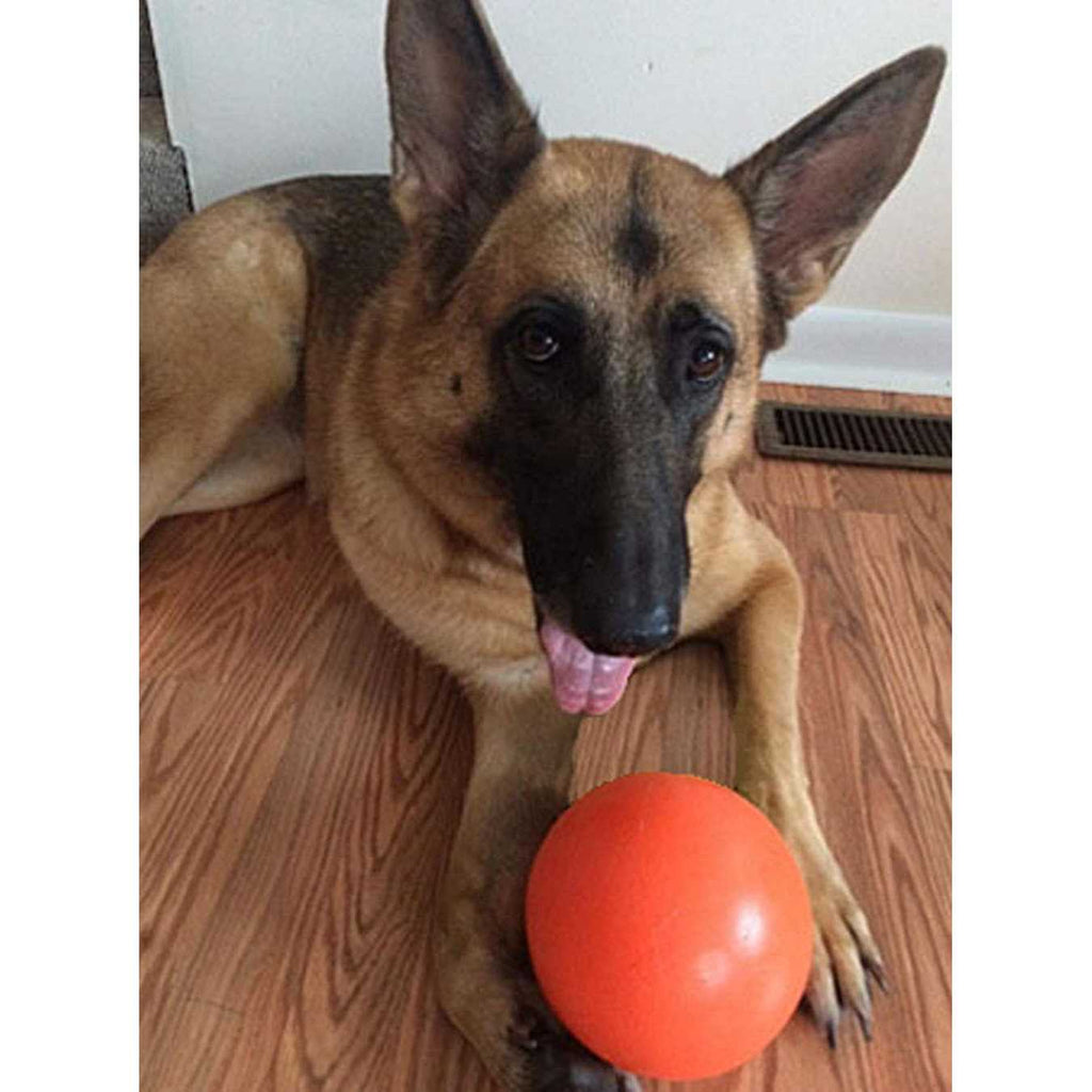 Indestructible Ball Dog Toy, 6-in X38487