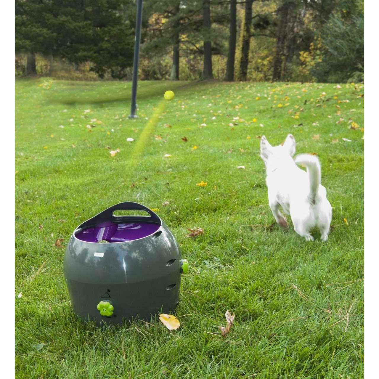 Automatic Ball Launcher Dog Toy F92554