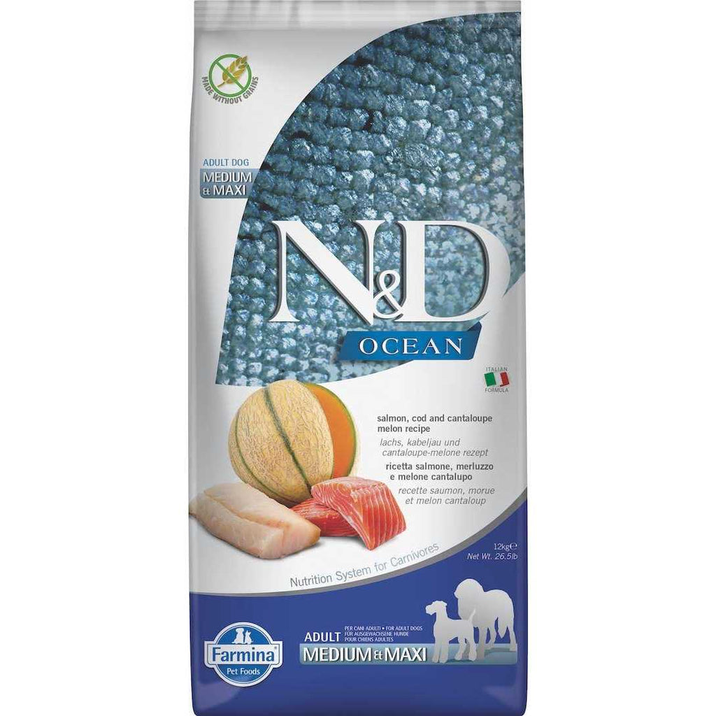 Pumpkin Lamb & Blueberry Mini Dog Dry Food J45559