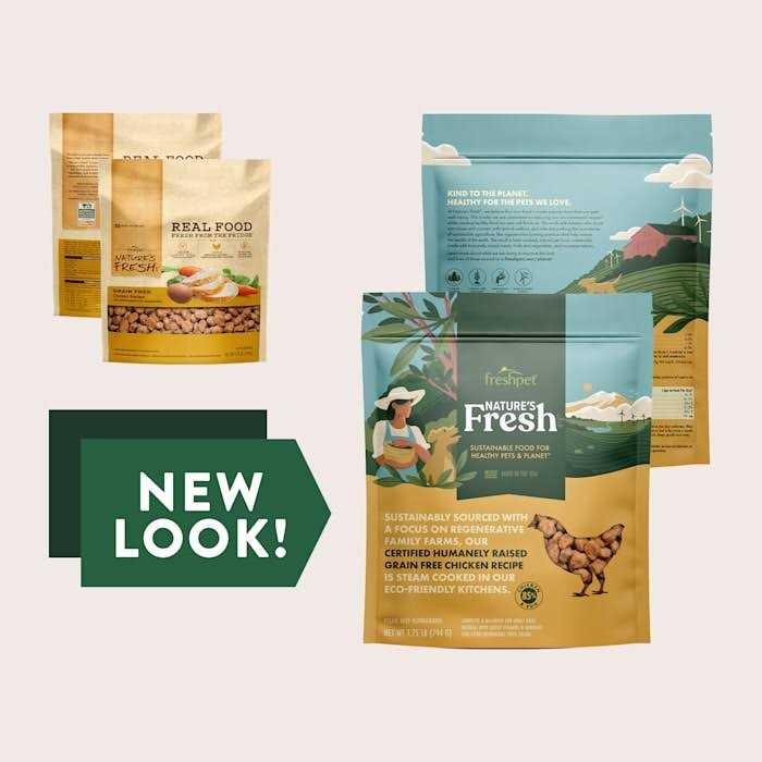 Grain Free Chicken Recipe Dog Food Y51614